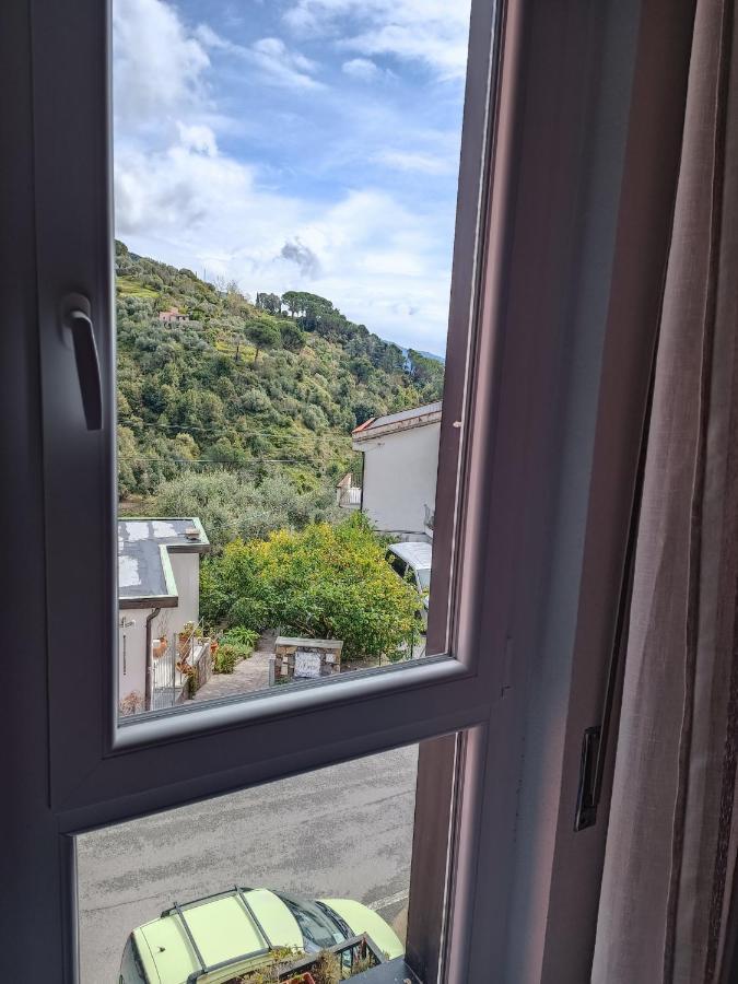 加勒比别墅酒店 蒙特罗索阿尔马雷 外观 照片